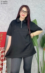 S-0020--18660--  A.polo kéo 00236