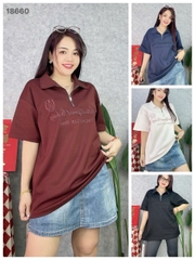 S-0020--18660--  A.polo kéo 00236