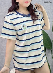 S-0020--18666- A.sọc Cho- 00288