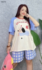 S-0020--18673- SS.Cho- FRI 00188