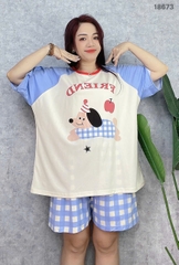 S-0020--18673- SS.Cho- FRI 00188