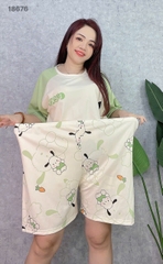 S-0020--18676- SS.Carot- 00188