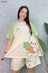 S-0020--18676- SS.Carot- 00188