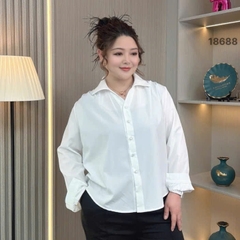 S-0020--18688- SM.TD 00296