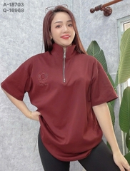 S-0020--18703- A.Polo kéo 00236