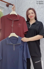 S-0020--18703- A.Polo kéo 00236