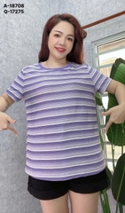 S-0050--18708- A.Sọc 00180