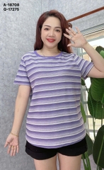 S-0050--18708- A.Sọc 00180