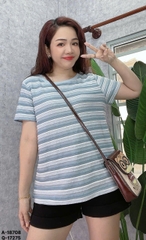 S-0050--18708- A.Sọc 00180