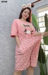 S-0020--18709- SS. 3 Cho- 00399