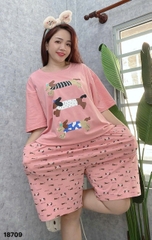 S-0020--18709- SS. 3 Cho- 00399