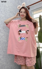 S-0020--18709- SS. 3 Cho- 00399