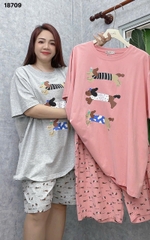 S-0020--18709- SS. 3 Cho- 00399