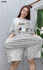 S-0020--18709- SS. 3 Cho- 00399