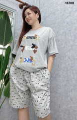 S-0020--18709- SS. 3 Cho- 00399