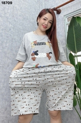 S-0020--18709- SS. 3 Cho- 00399