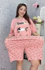 S-0020--18709- SS. 3 Cho- 00399