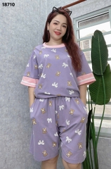 S-0020--18710- SS. Nơ- 00399