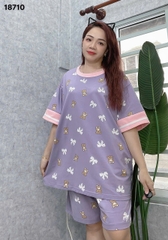 S-0020--18710- SS. Nơ- 00399