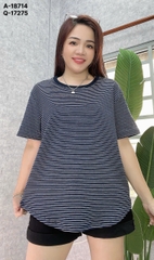 S-0020--18714- A.Sọc nhuyễn 00280