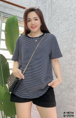 S-0020--18714- A.Sọc nhuyễn 00280