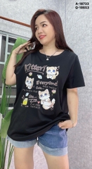 S-0020--18733- A.Meo- 00296