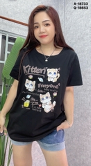 S-0020--18733- A.Meo- 00296