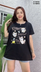 S-0020--18733- A.Meo- 00296