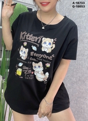 S-0020--18733- A.Meo- 00296