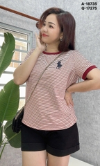 S-0050--18735-A.sọc 00185- ĐỎ