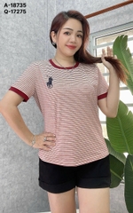 S-0050--18735-A.sọc 00185- ĐỎ