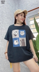 S-0020--18737- A.Meo- 00288