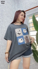 S-0020--18737- A.Meo- 00288