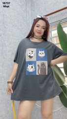 S-0020--18737- A.Meo- 00288