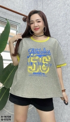 S-0020--18739- A.số 56 - 00328