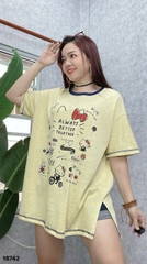 S-0020--18742- A.Kity- 00296