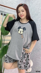 S-0020--18746- ss.Micky 00188