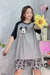 S-0020--18746- ss.Micky 00188