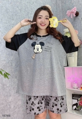 S-0020--18746- ss.Micky 00188