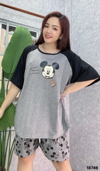 S-0020--18746- ss.Micky 00188