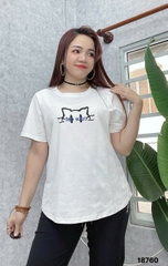 S-0020--18760- A.Meo- 00256