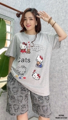 S-0020--18766- SS.Kity 00320