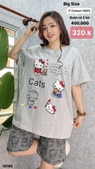 S-0020--18766- SS.Kity 00320