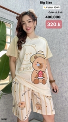 S-0020--18767- SS.Capy 00320