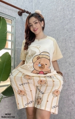 S-0020--18767- SS.Capy 00320