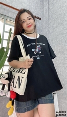 S-0020--18778- A.OVS Ngua- 00280