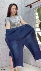 S-0020--18790- Q.Lửng Jean 00360
