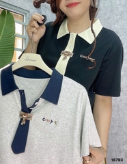 S-0020--18793- A.polo CV 00320