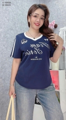 S-0030--18809- A.Team 00238