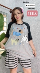 S-0020--18824- SS.3 Cho- 00188